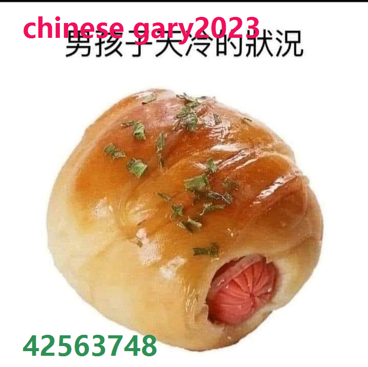 chinese gary2023